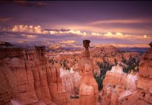 Breathtaking Landscapes and National Parks in the USA