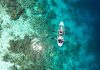 The Great Barrier Reef: An Australian Adventure